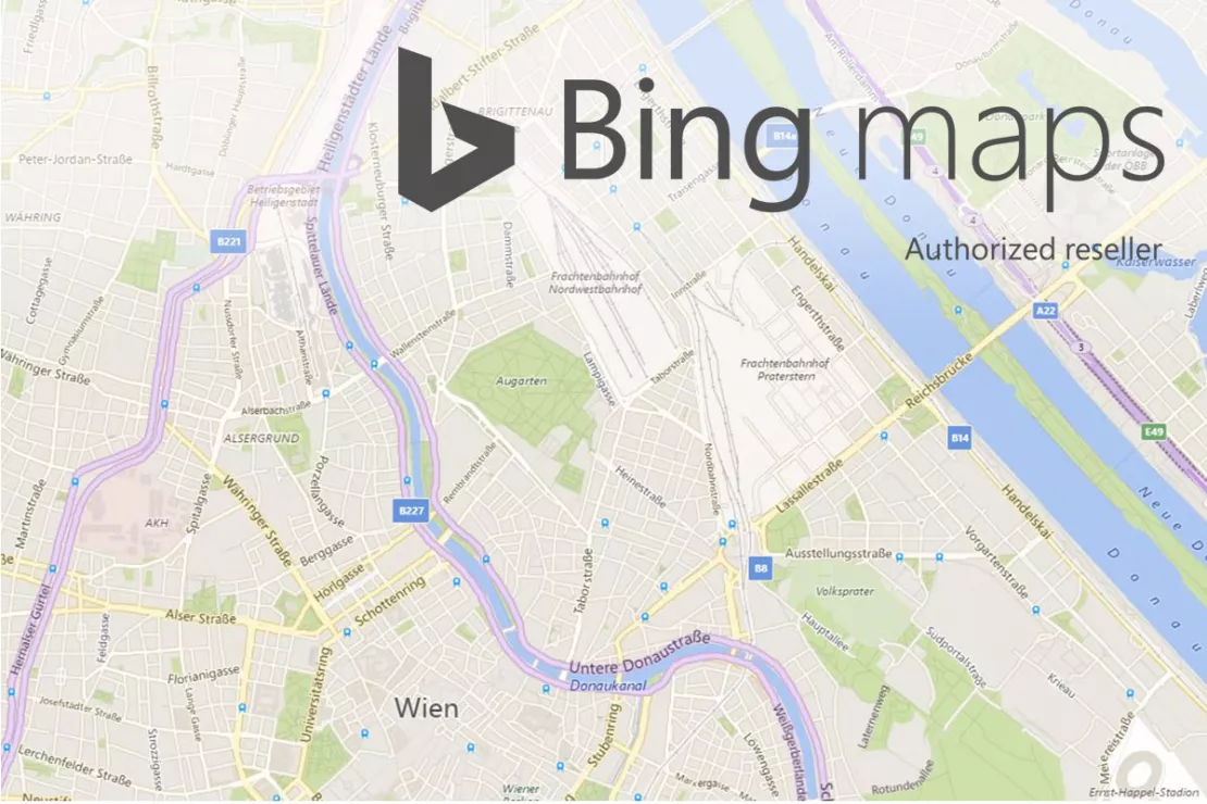 bing aerial view of address